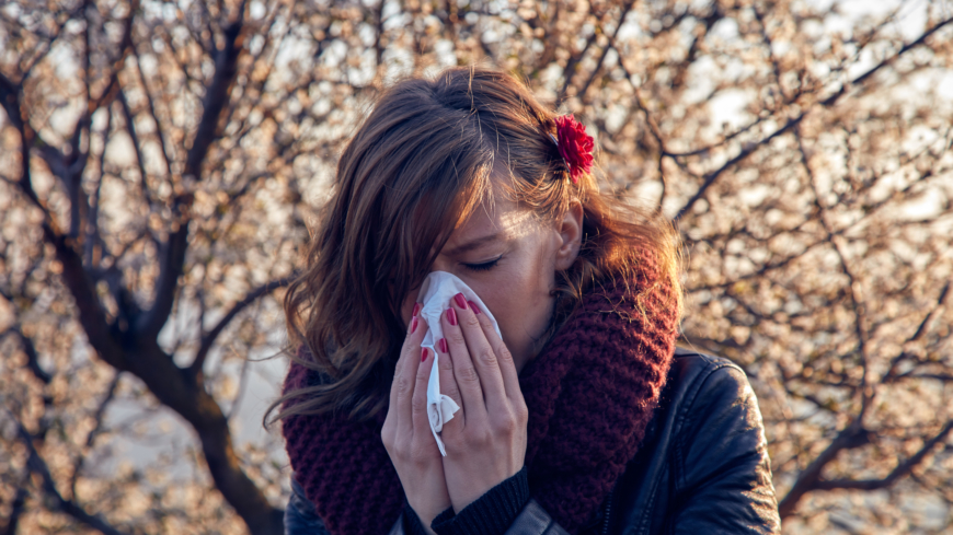 Hur besvärande pollensäsongen väntas bli för dig som är pollenallergiker väntas skilja sig stort beroende på var i landet du bor. Foto: Shutterstock